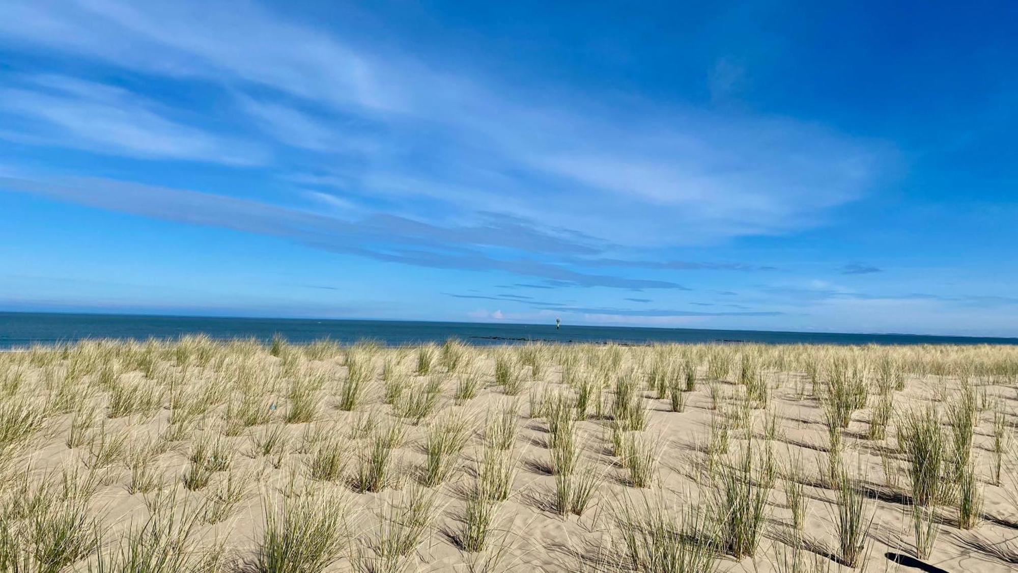 Apartmán Royal Knokke Exteriér fotografie